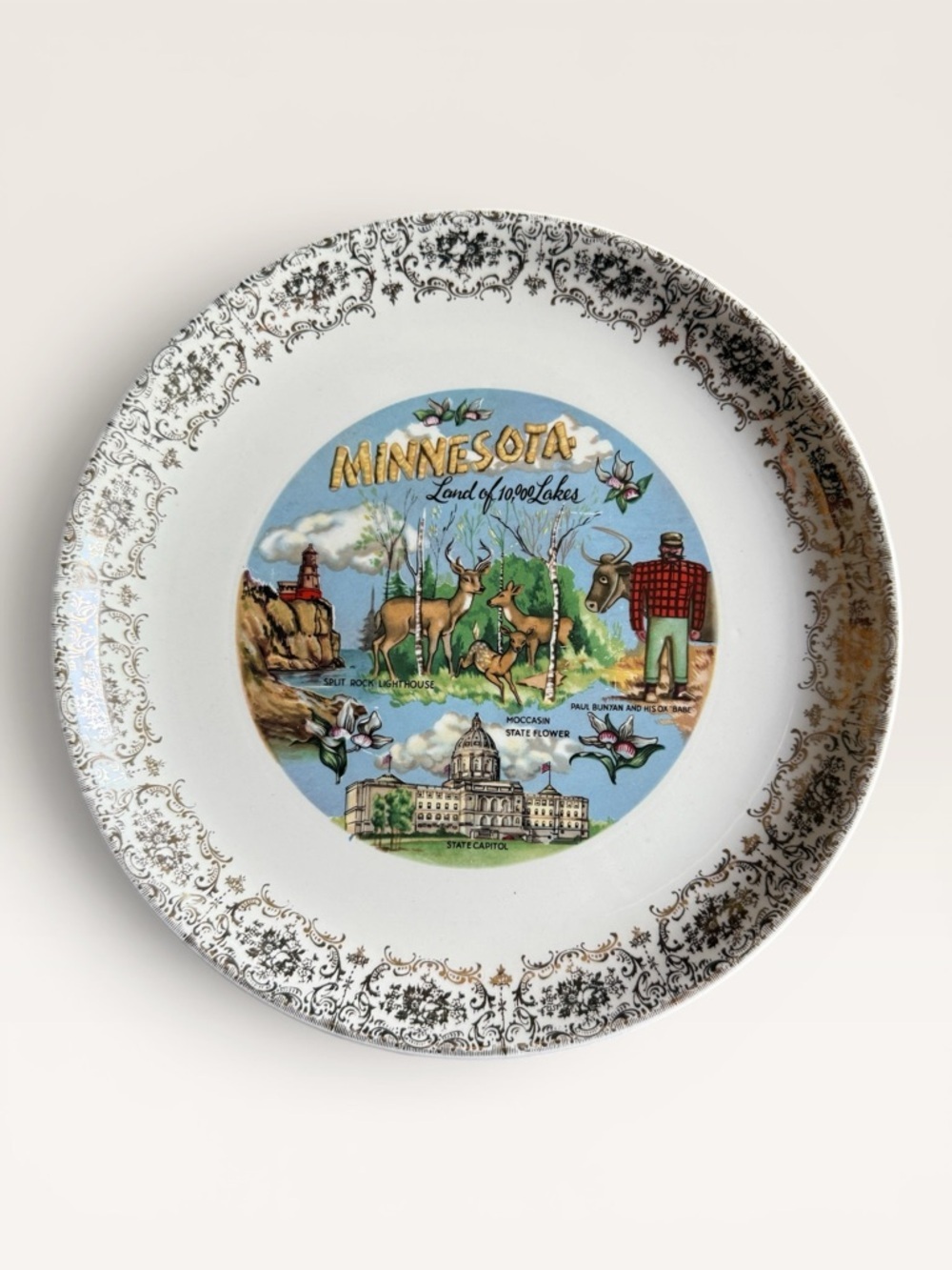 Vintage Minnesota Souvenir Plate